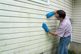 Affordable Siding Repair and Maintenance Services in Grand Junction, CO